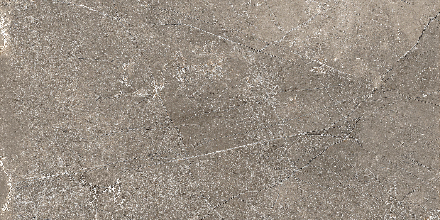 GT122VG Плитка облиц. Силуэт Кор. 50*25 _ 1 \74,25