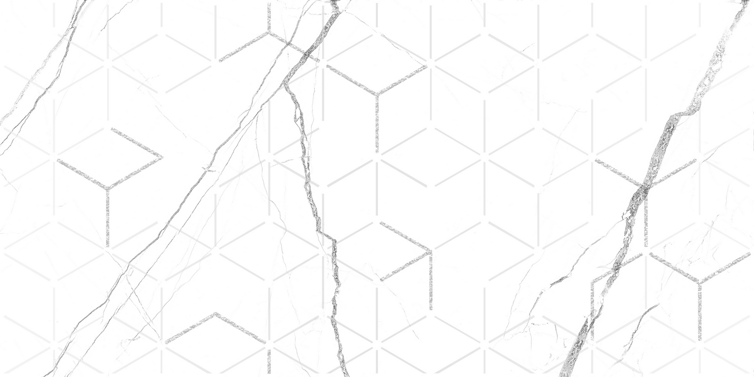 GT124VG Декор кер. Силуэт Бел. 50*25 _ 1 \7